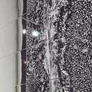 Buxy-Modus-London